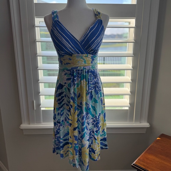 Lilly Pulitzer Hadley Fit and Flare Dress - Picture 1 of 5